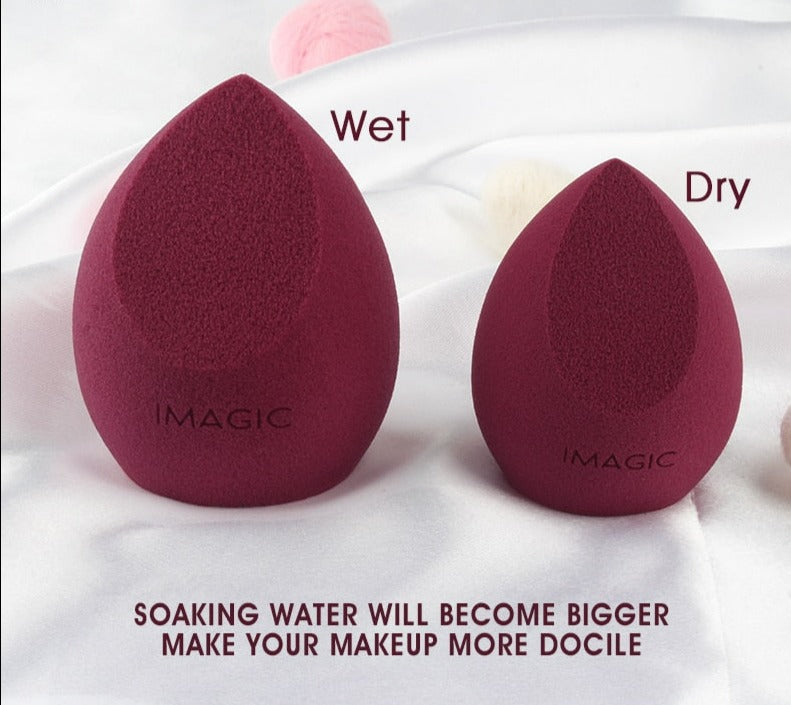 Makeup Sponge Professional Cosmetic Puff - Accessory Monk